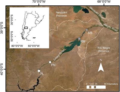 Homogenization of Macroinvertebrate Assemblages and Asiatic Clam Corbicula fluminea Invasion in a River of the Arid Patagonian Plateau, Argentina